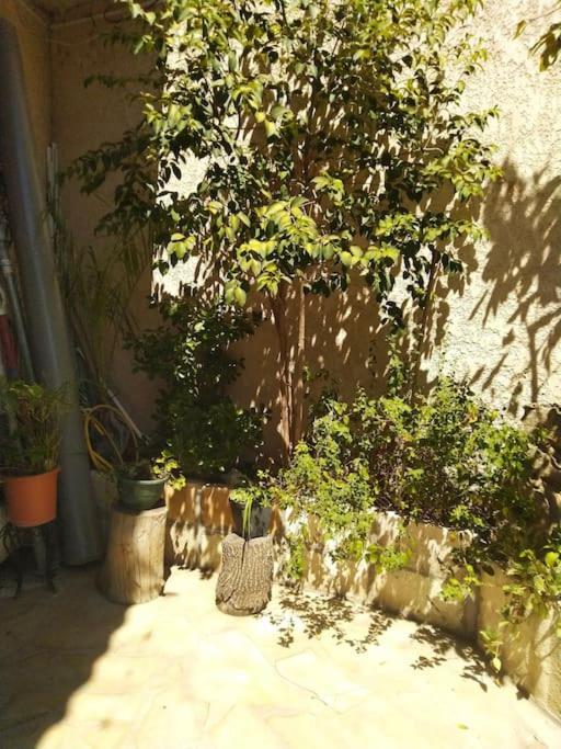 Studio Ideal Pour Deux Voyageurs Sur Marseille Ngoại thất bức ảnh