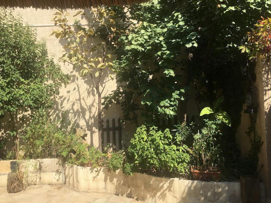 Studio Ideal Pour Deux Voyageurs Sur Marseille Ngoại thất bức ảnh
